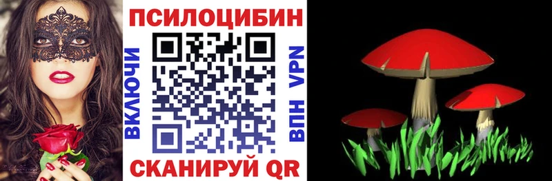 Галлюциногенные грибы прущие грибы  Фёдоровский 